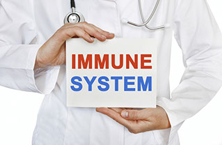 immune system image